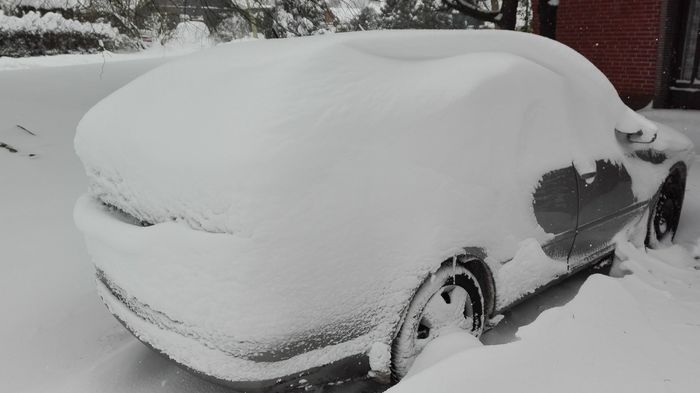 Wiederauferstehungsfolge nach Schneechaos